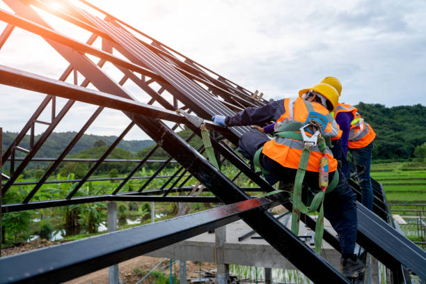 Best Metal Roofing Contractor  in Holley, NY