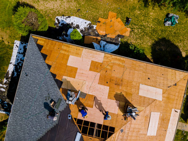 Best Local Roofing Companies  in Holley, NY
