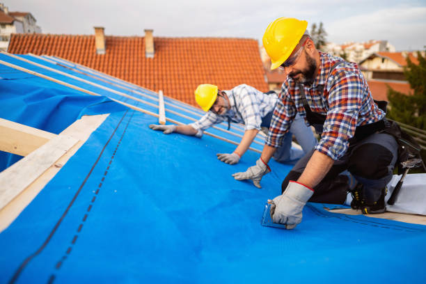 Best Roof Maintenance Services  in Holley, NY
